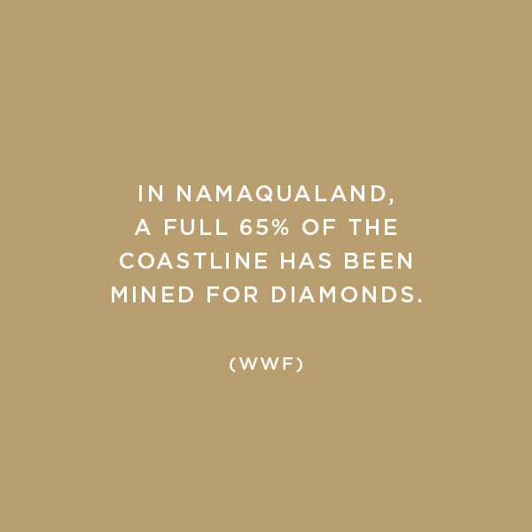 Environmental Impact, Habitat Destruction, In Namaqualand, a full 65% of the coastline has been mined for diamonds. (WWF)